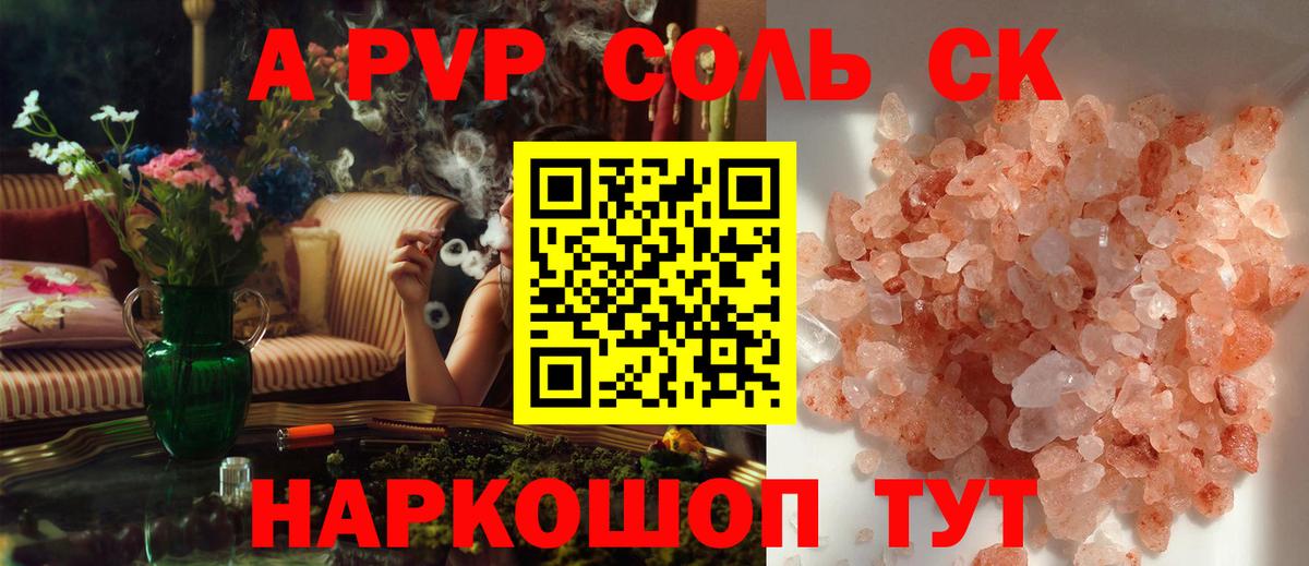 A PVP СК Сегежа