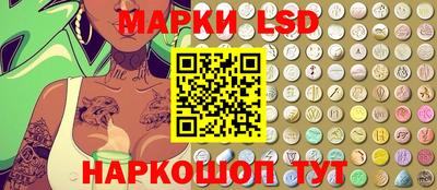 тгк Новодвинск