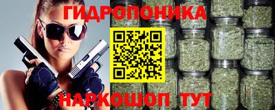 прущие крисы Новозыбков