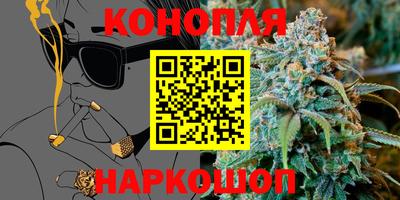 прущие крисы Новозыбков