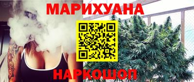 тгк Новодвинск