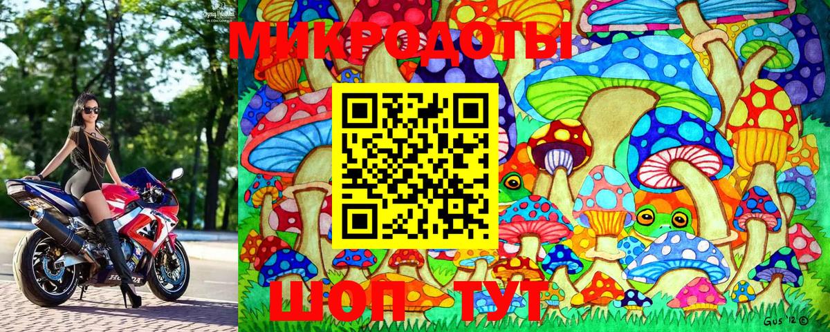 Сегежа  Псилоцибиновые грибы Magic Shrooms  купить  сайты  Вход с VPN 