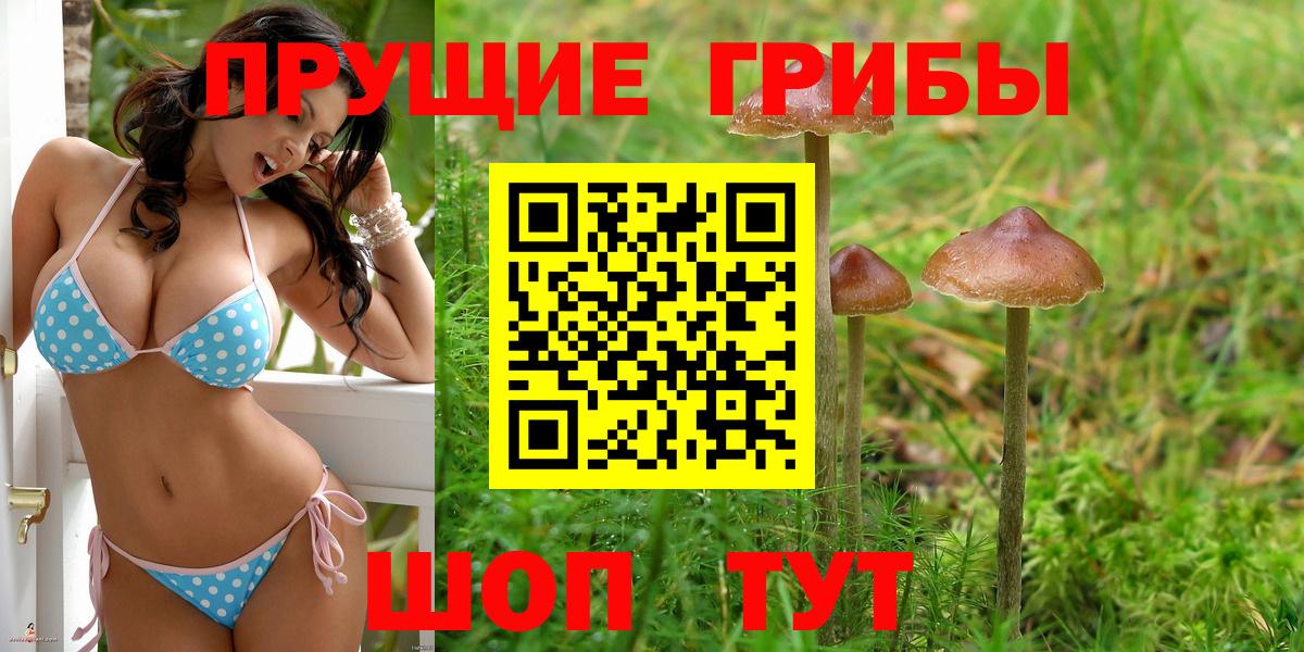 Псилоцибиновые грибы Cubensis Сегежа