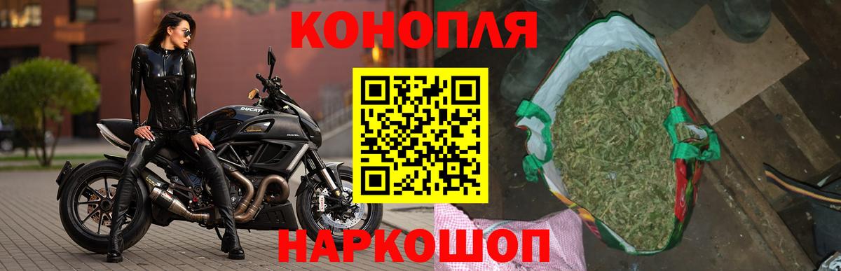 Сегежа  Марихуана сатива  Марихуана SATIVA & INDICA  Каннабис OG Kush  Вход с VPN 